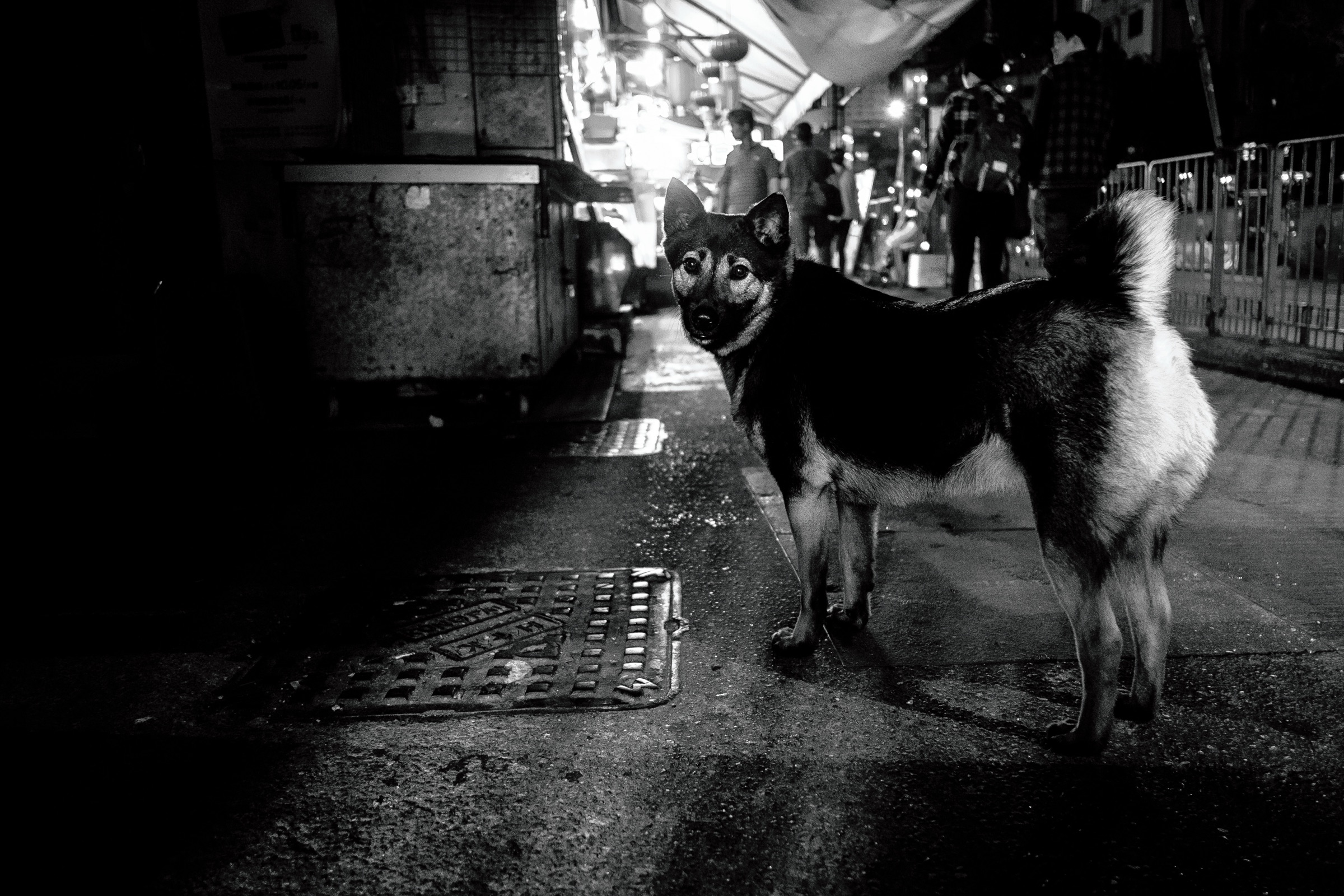 Hong Kong Unfiltered artwork