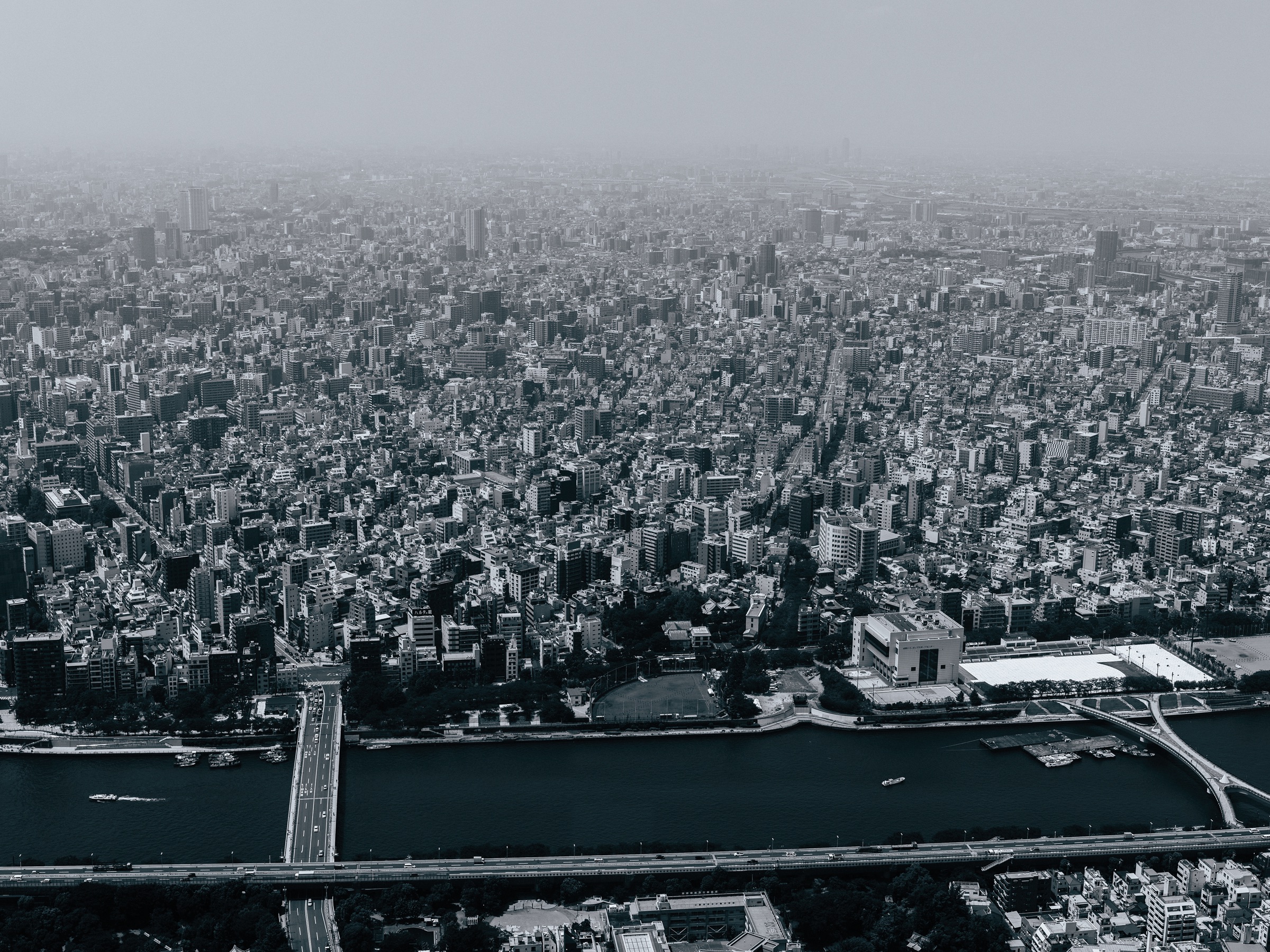 Tokyo Skydance artwork
