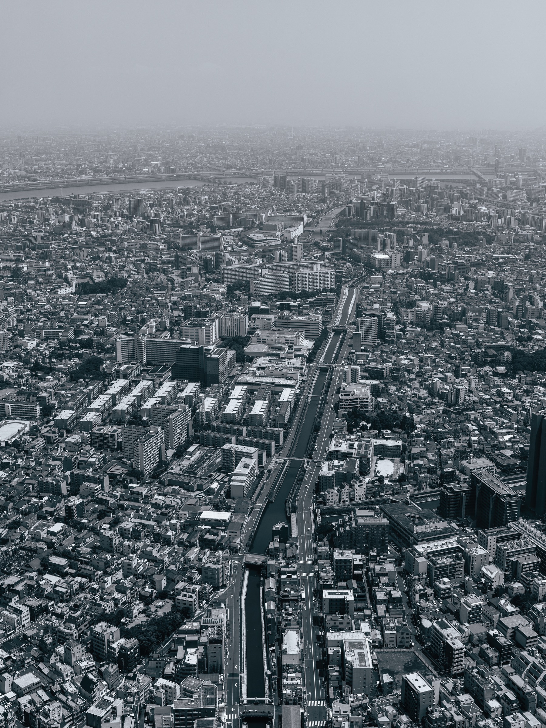 Tokyo Skydance artwork