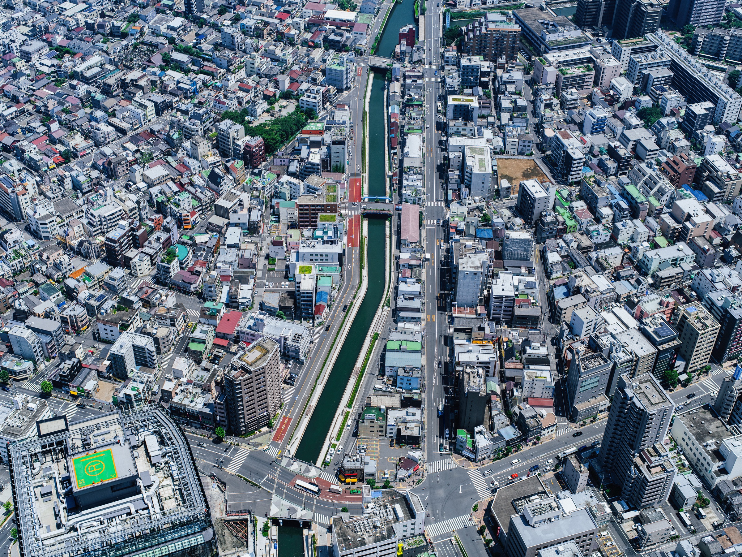 Tokyo Skydance artwork