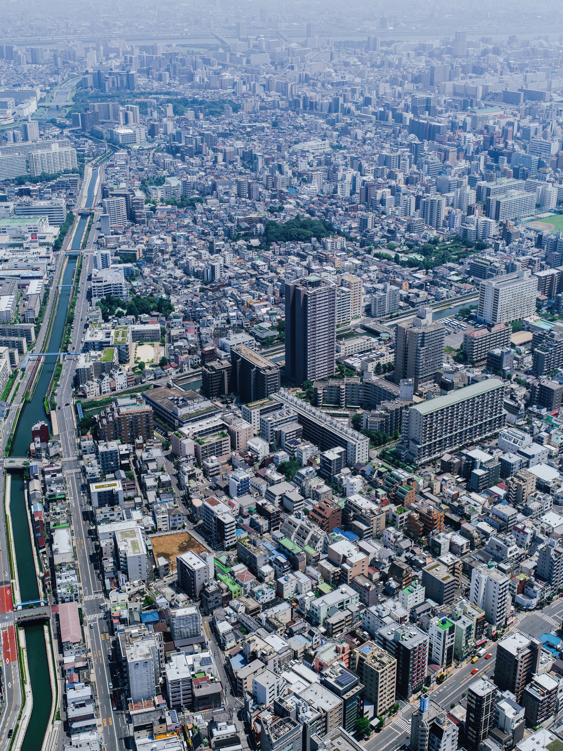 Tokyo Skydance artwork