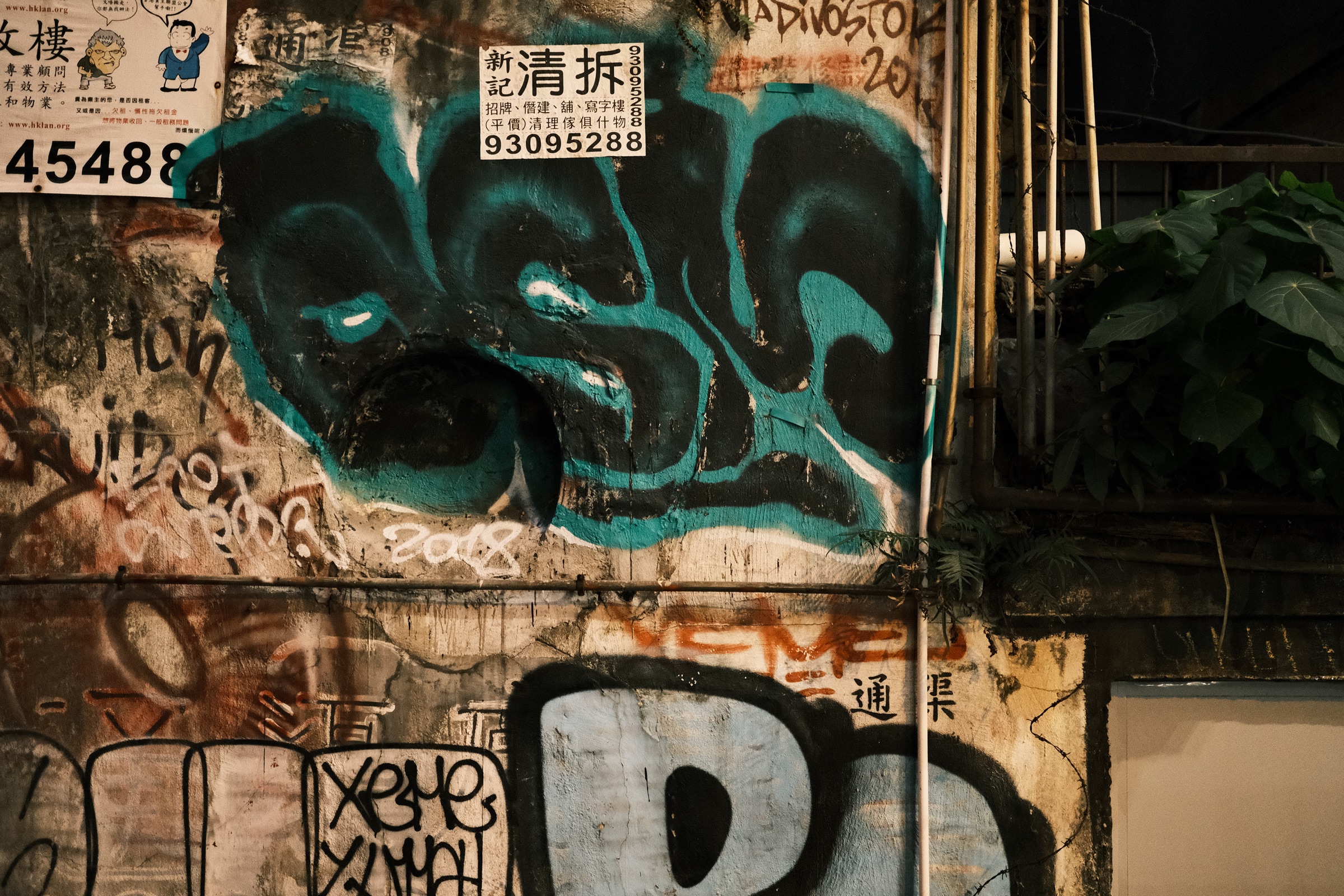 Hong Kong Solitude artwork
