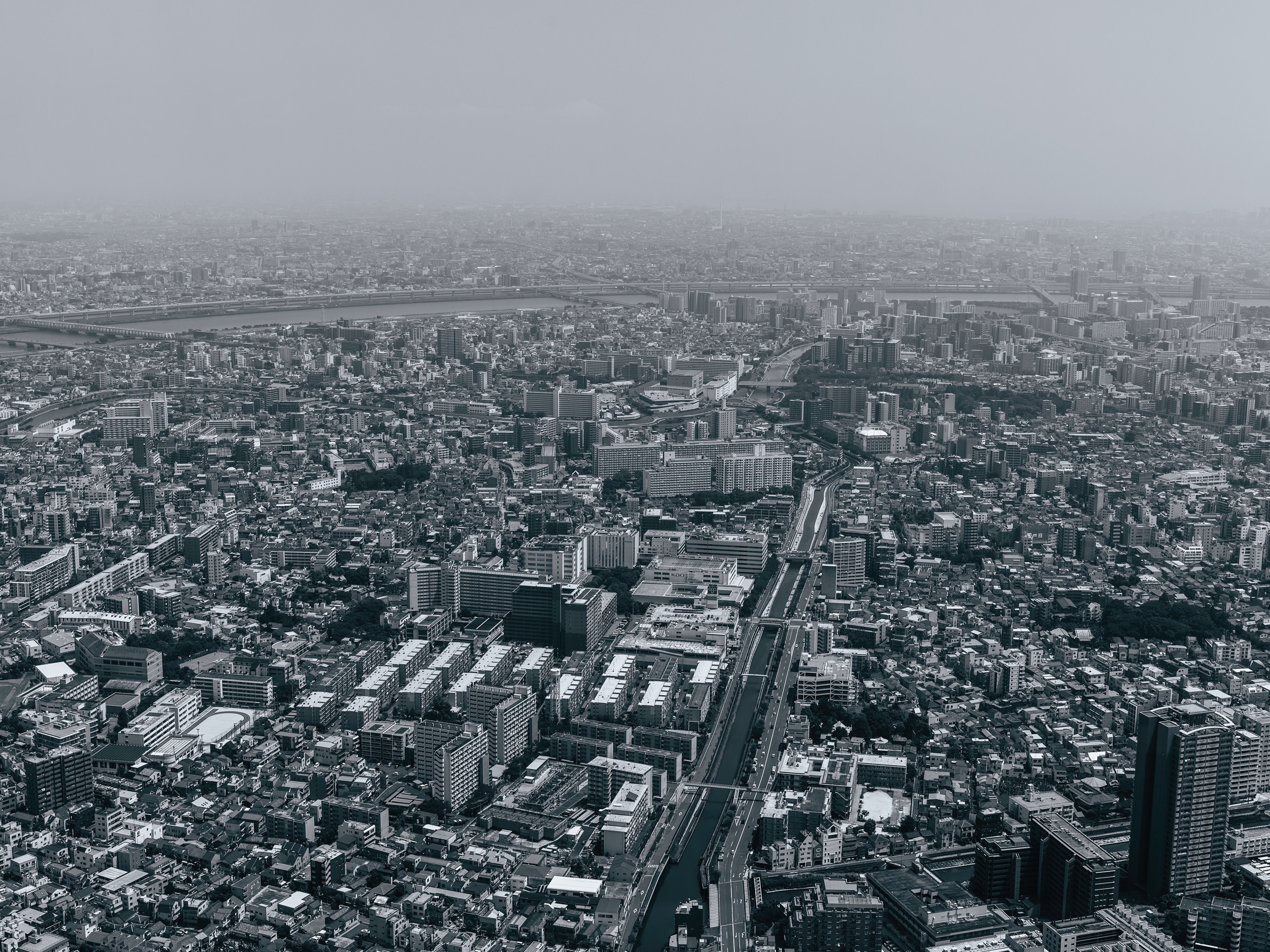 Tokyo Skydance artwork