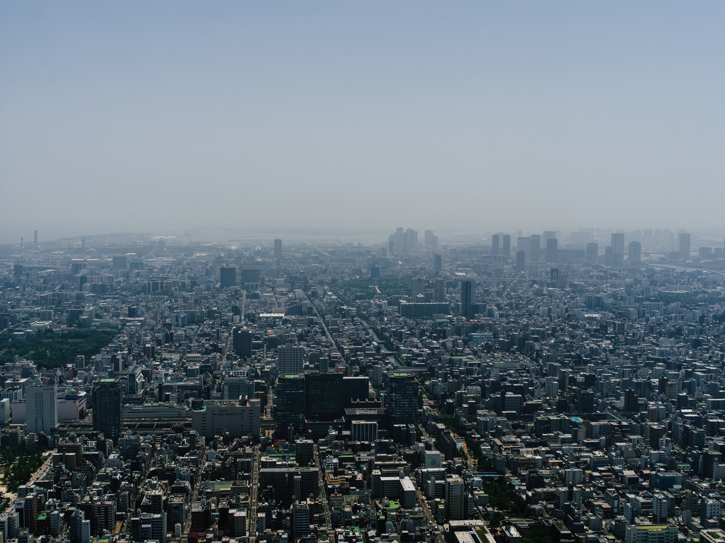 Tokyo Skydance artwork